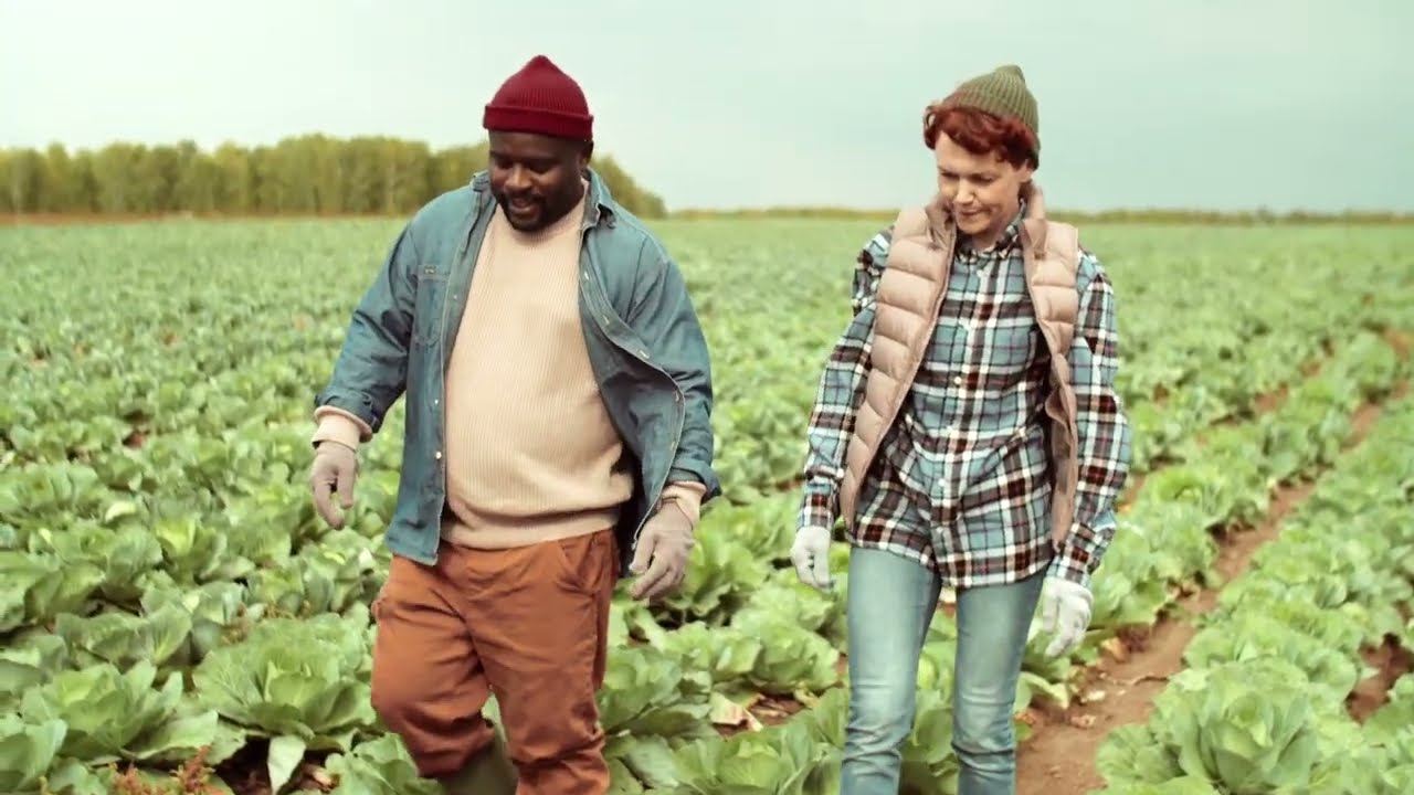 Arc&trade; farm intelligence - nowoczesne narzędzie cyfrowe od FMC