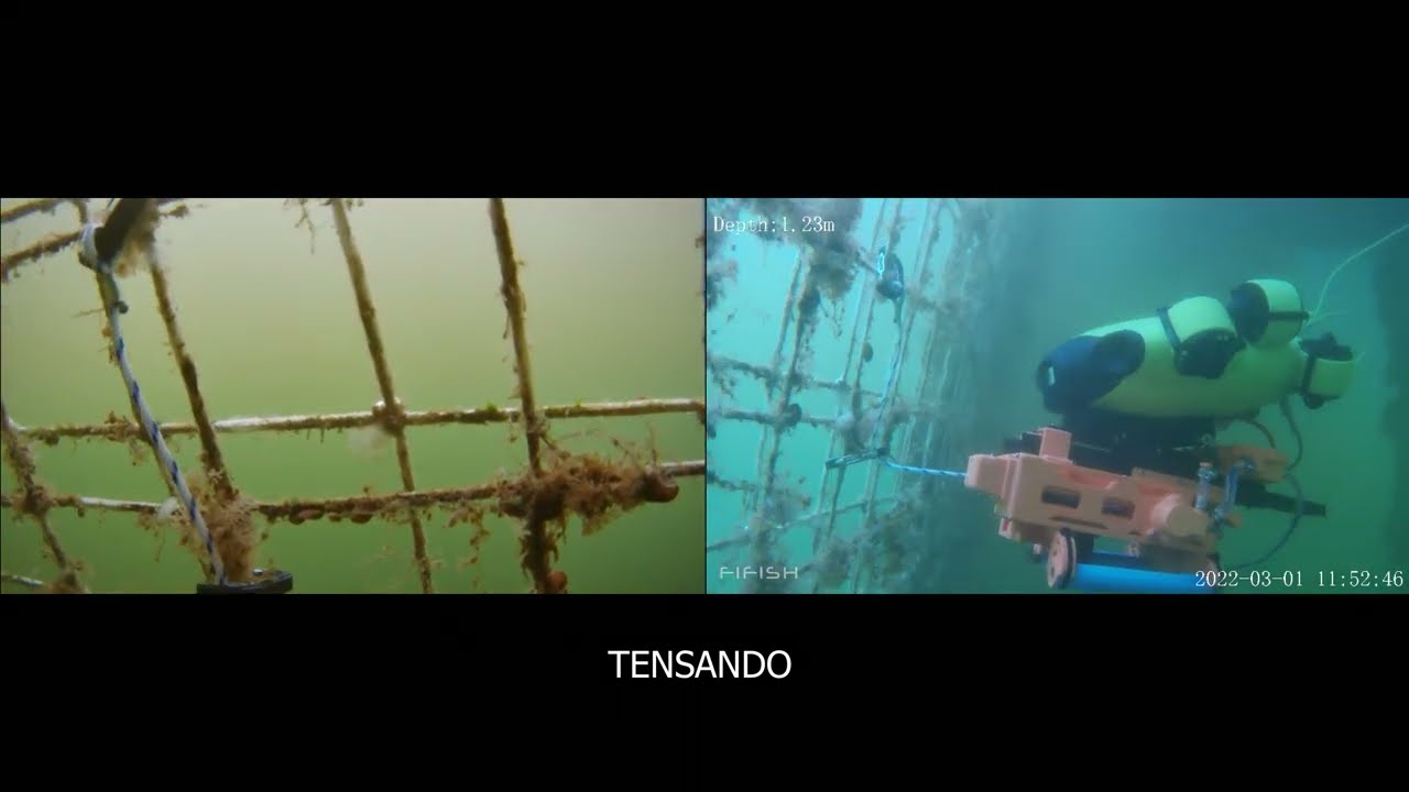 Reparación Red Lobera 2X1 con Robot Submarino (ROV)