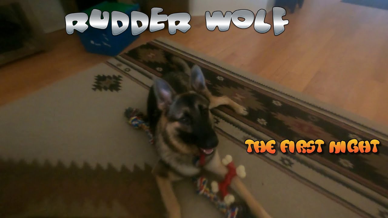 Rudder Wolf's first night at Wolf Pilot HQ. The debrief