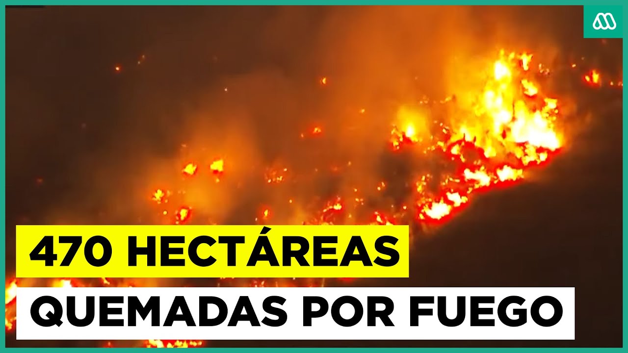 470 hectáreas afectadas por incendios forestales