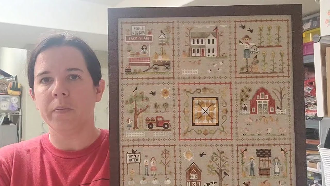 flosstube #3 - framed finishes, Halloween pillows and half of abcingo.
