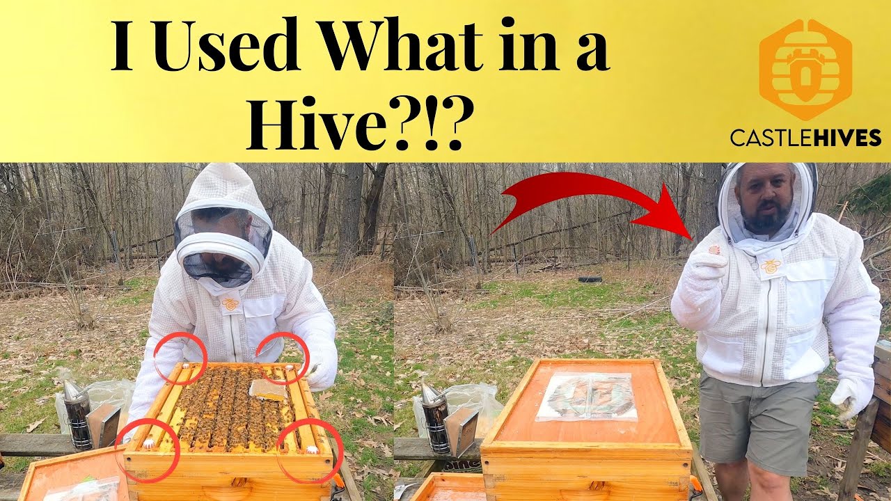 Checking Pollen Patties & Peppermint Candy, What?!?