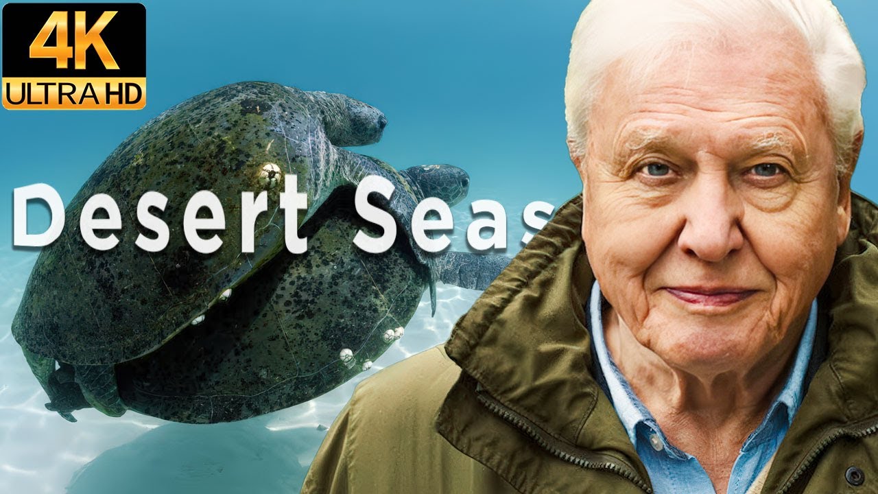 David Attenborough | Dessert Seas Documentary