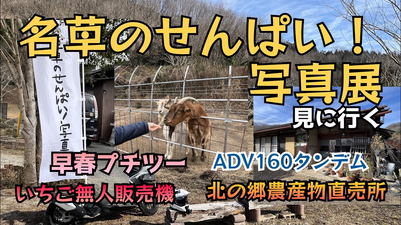 ADV160タンデム■イチゴ無人販売機～北の郷農産物直売所～名草craft「せんぱい！写真展」
