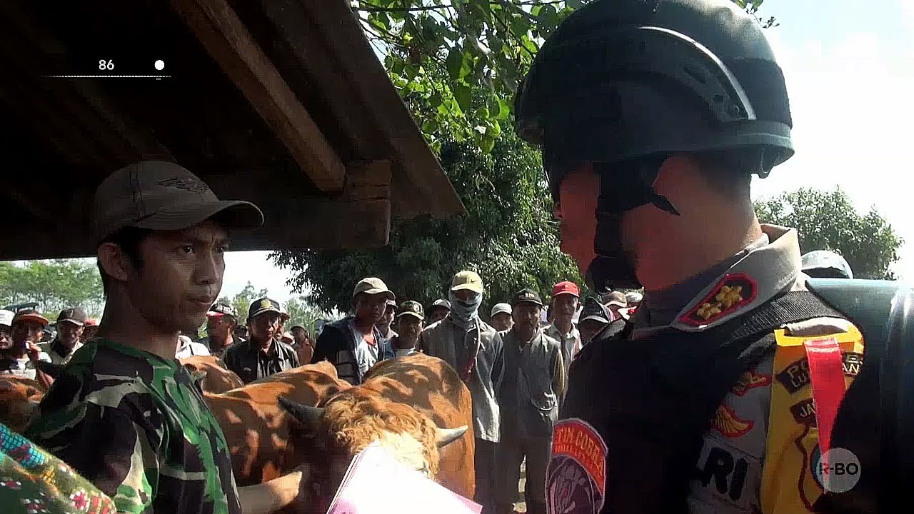 Marak Pencurian Sapi, Kapolres Lumajang dan Tim Cobra Sidak ke Pasar Hewan