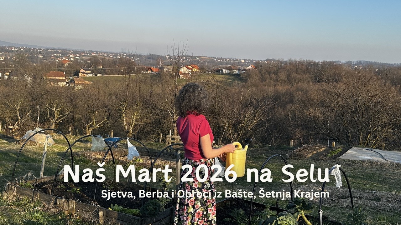 🌱Počinje nova sezona a mi još beremo zimske plodove, poslastičarna, proljetna jutra, posni obroci
