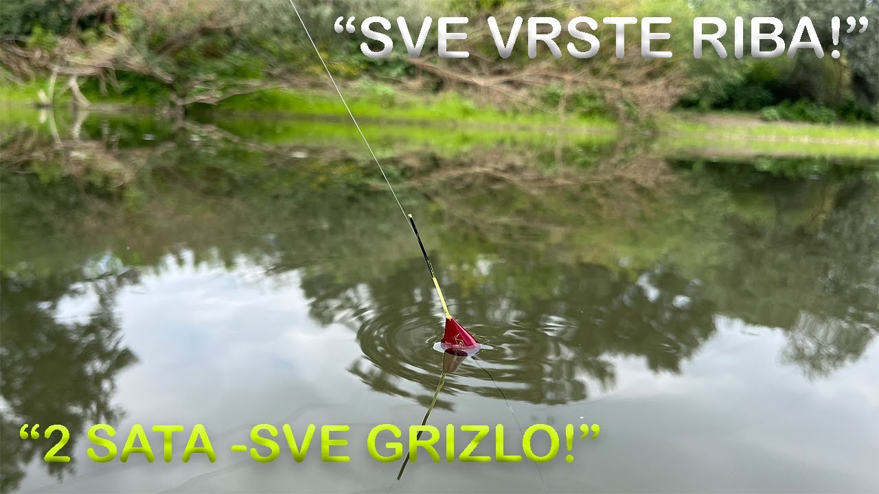 Ribolov na Plovak i Direktaš 5m- Dan Kada Je Sve Grizlo!