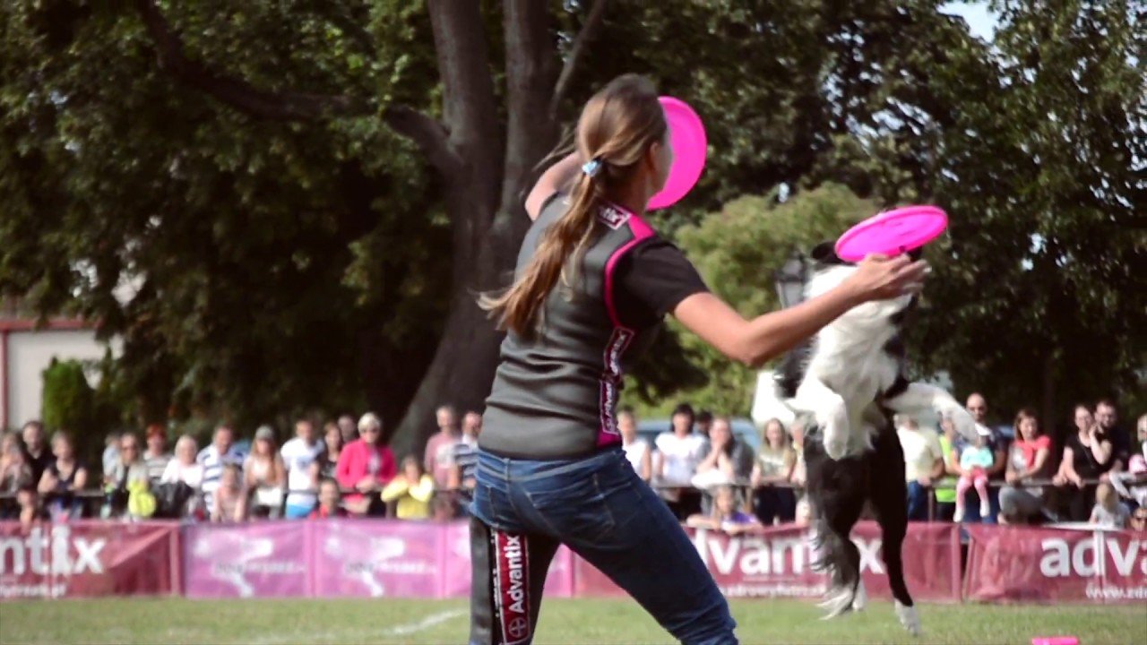 Iza & Chakra | UpDog Challenge Freestyle Level 2