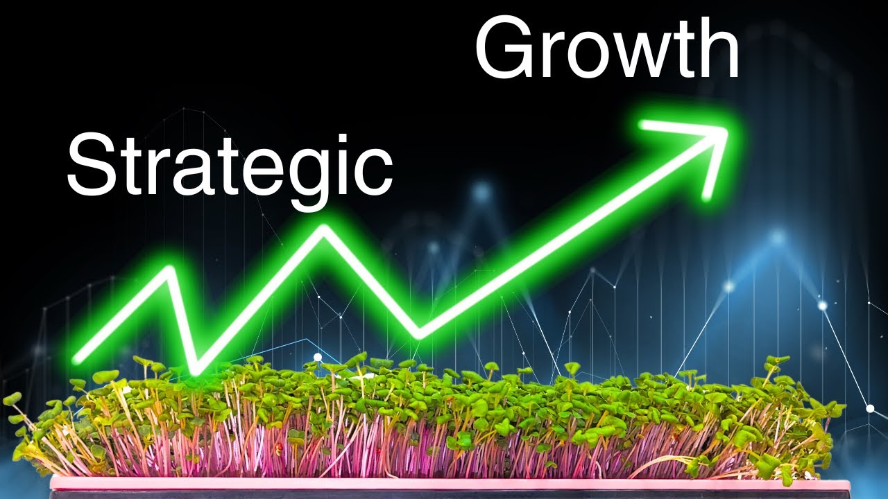 Mastering Calculated Risks in Your Microgreens Business