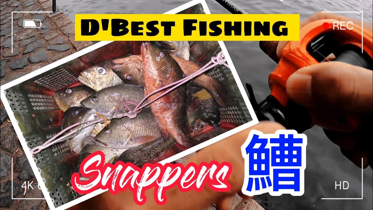 EP18钓点无藏私，40米的卷取感觉。Singapore D'Best Fishing Pond