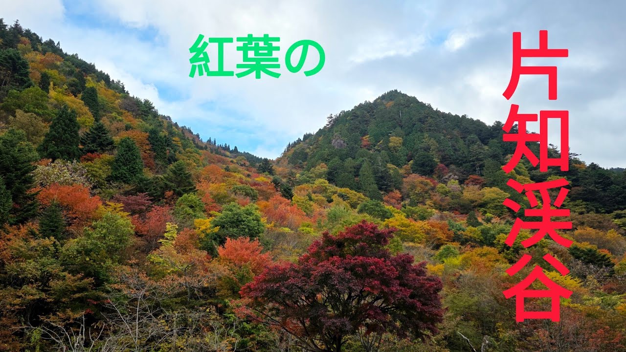 岐阜県関市・片知渓谷の紅葉 Autumn Colors of Kataji Gorge, Seki City, Gifu
