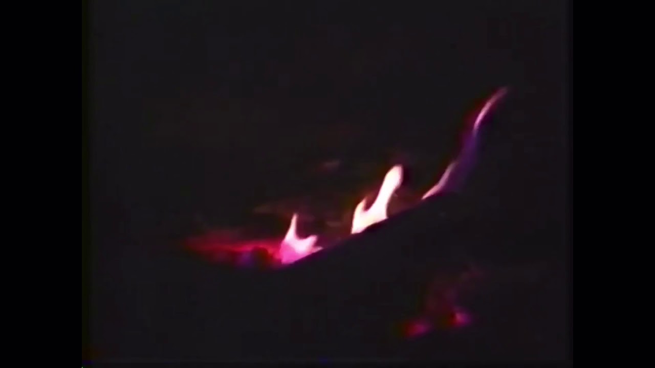 Horror in Vietnam: The Aftermath of LZ Albany at Ia Drang Valley, Vietnam November 1965
