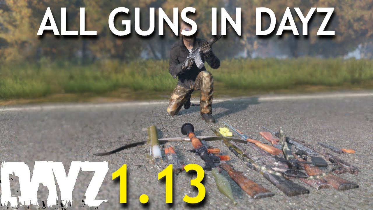 All Guns In DayZ 1.13!