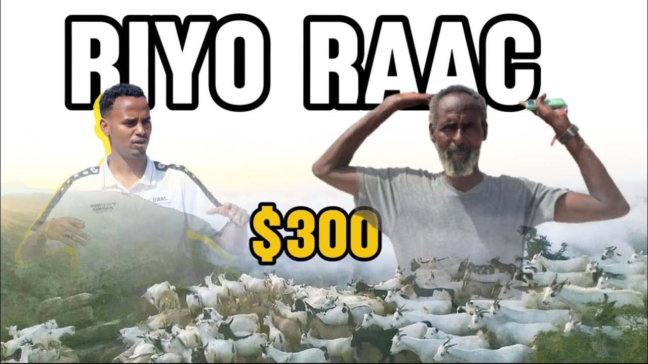 Wali baadiye ma tagtay?