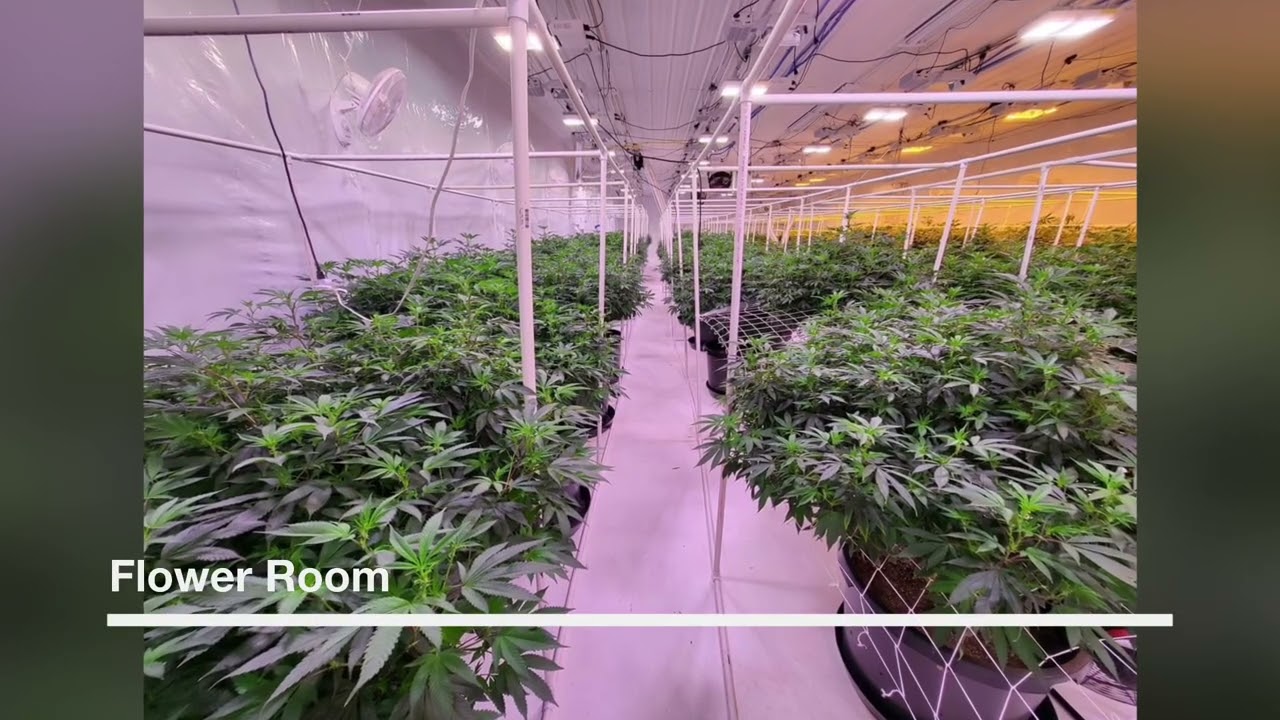 Michigan Recreational Grow Facility for Sale! On Indiana Border!