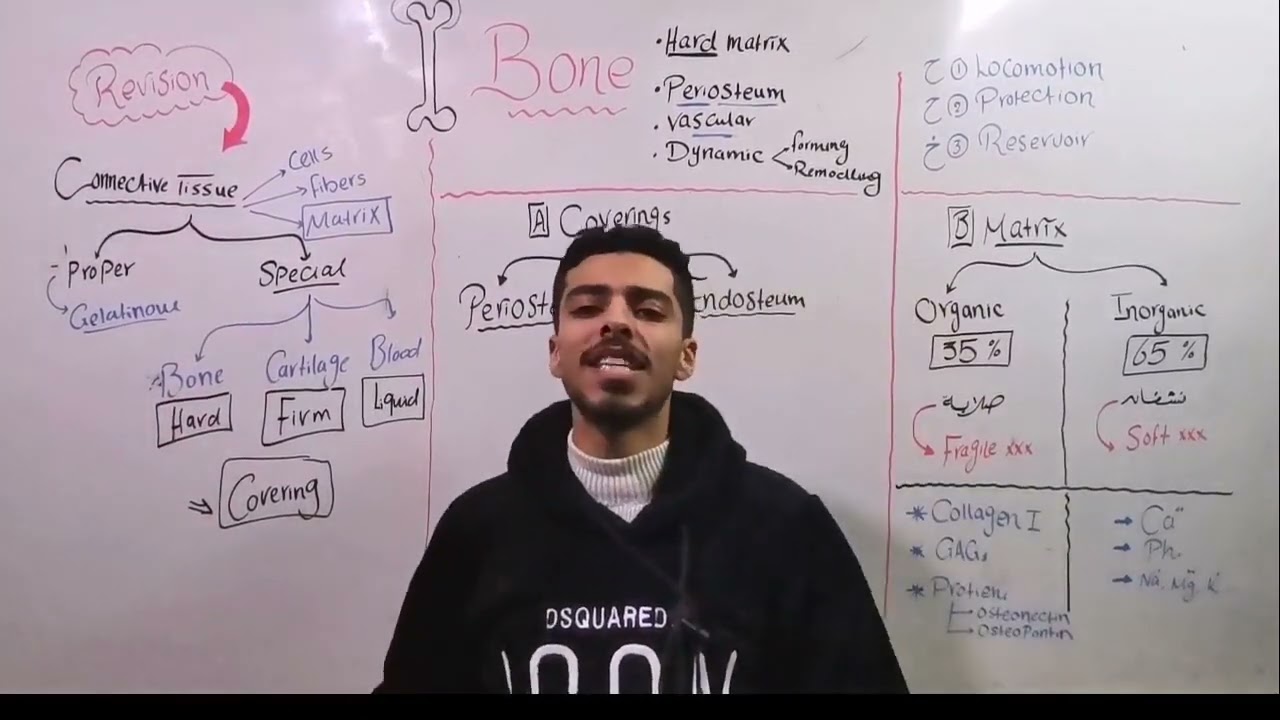 MSK 2023 (Bone 1)