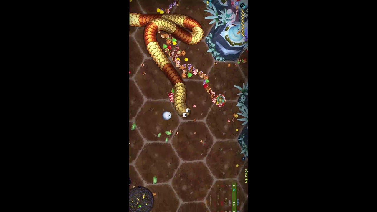 RẮN  SAN MOI  - SNAKE // PHẦN 1