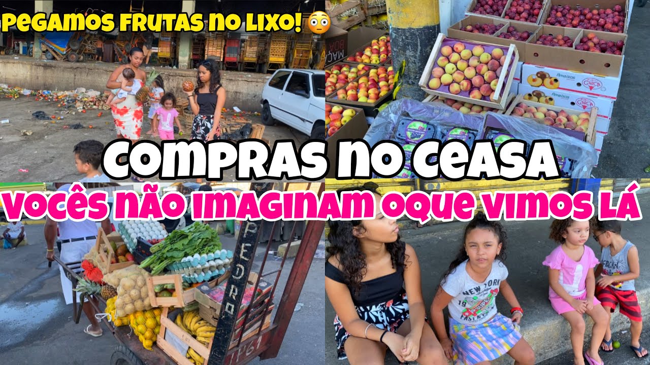 MUITA FRUTA E LEGUMES NO LIXO 😳 PEGAMOS | COMPRAS DO MÊS NO CEASA | ROTINA DE MÃE COM 5 FILHOS 