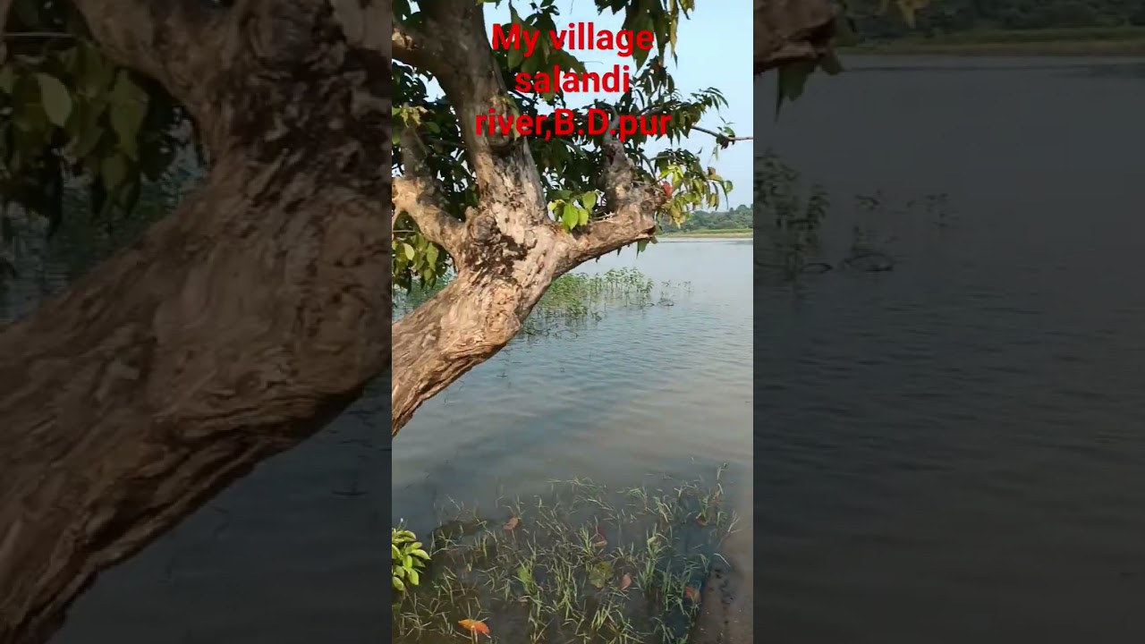 #my Village sight salandi river🏞️#mrkisanbabu#made🏡🏞️🏔️😎