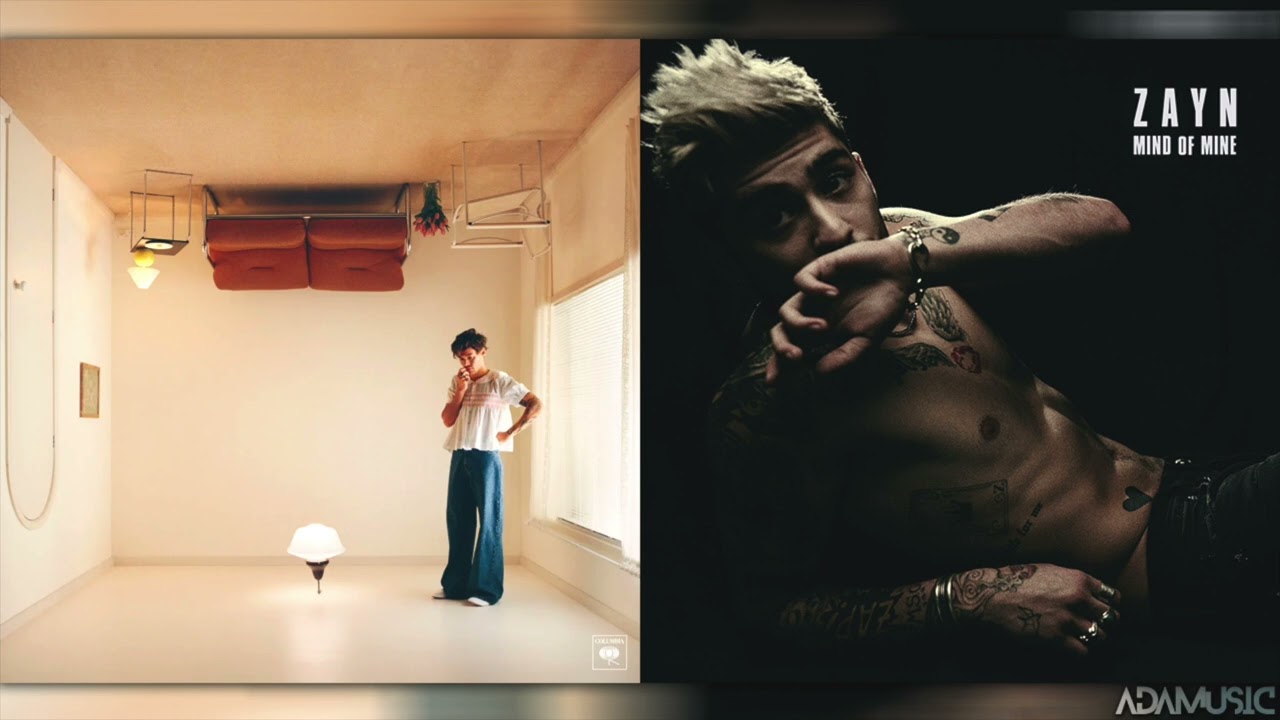 Harry Styles, ZAYN - Late Night Talking x Like I Would (MASHUP)