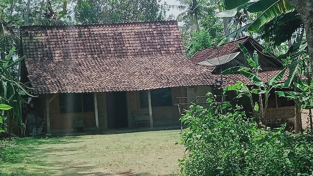 Di Kampung Ini masih banyak Rumah-rumah Jawa !! Desa Rejosari Kalidawir Tulungagung