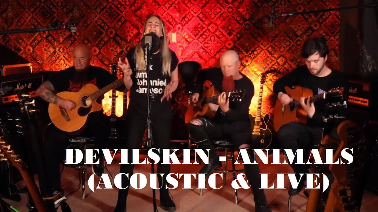 Devilskin - Animal (Acoustic Version) Performed For The 2017 VNZMA's.