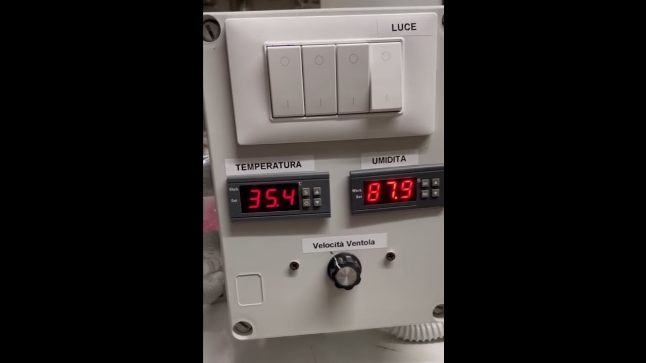Ho costruito un'incubatrice per celle reali con un vecchio frigo