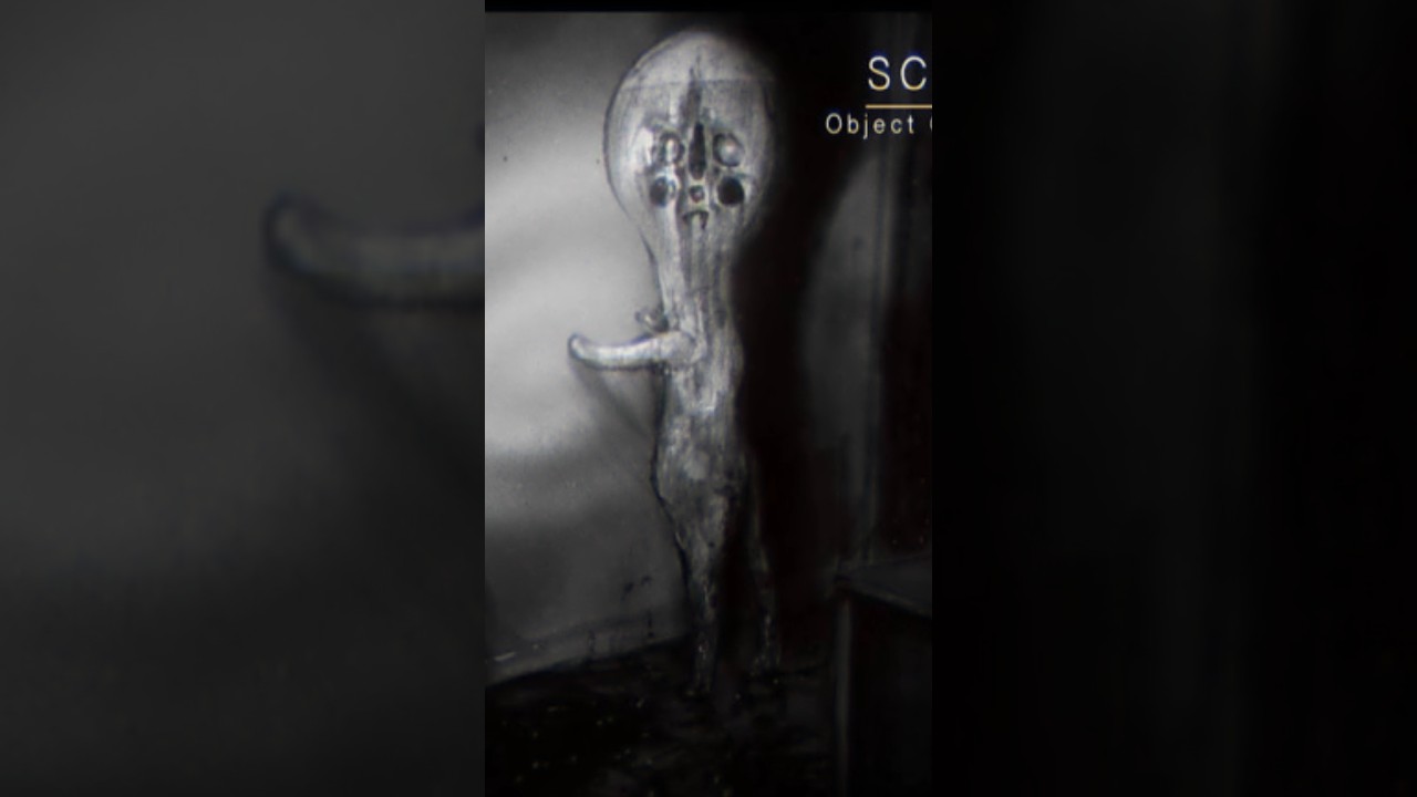 SCP-173 edit #scp173 #scp #edit #parati