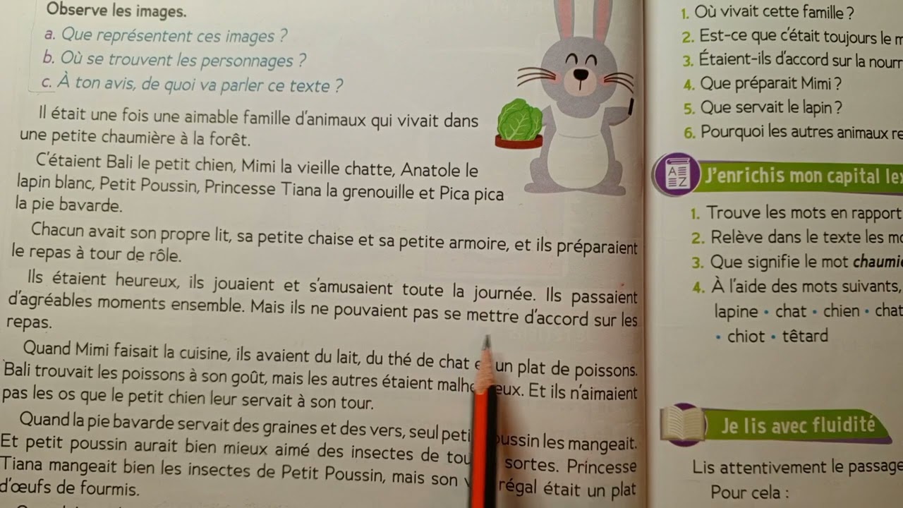 CE1: Lecture : Une famille pas comme les autres page 48 Le trésor des mots