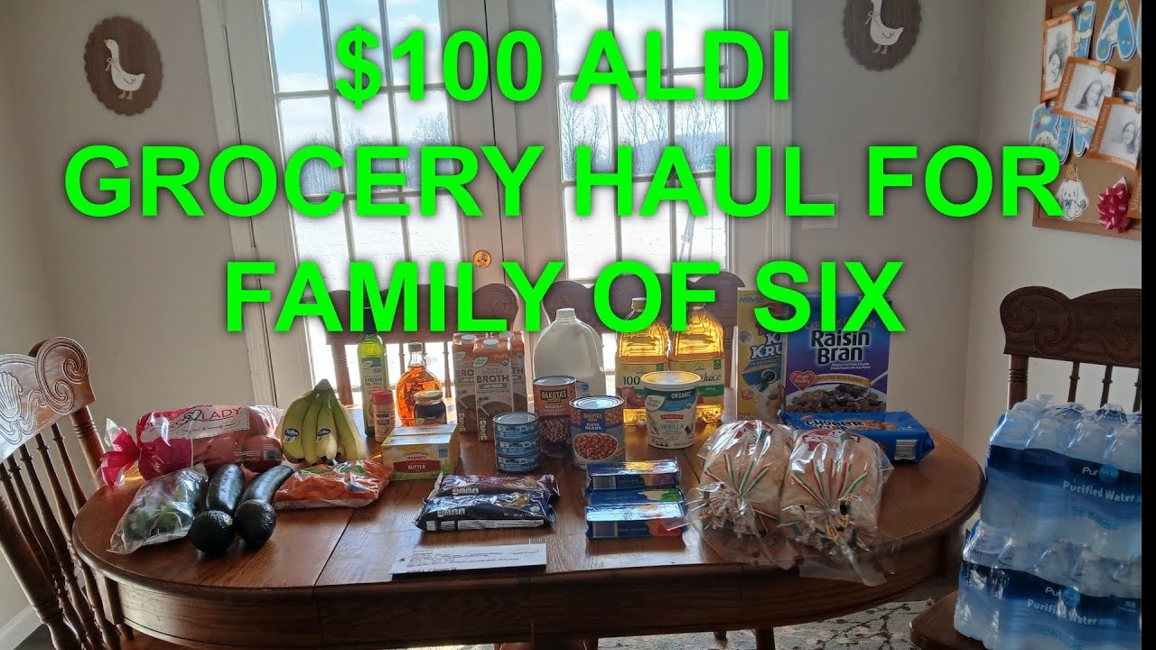 $100 ALDI GROCERY HAUL FOR MY FAMILY OF SIX | LARGE FAMILY GROCERY HAUL
