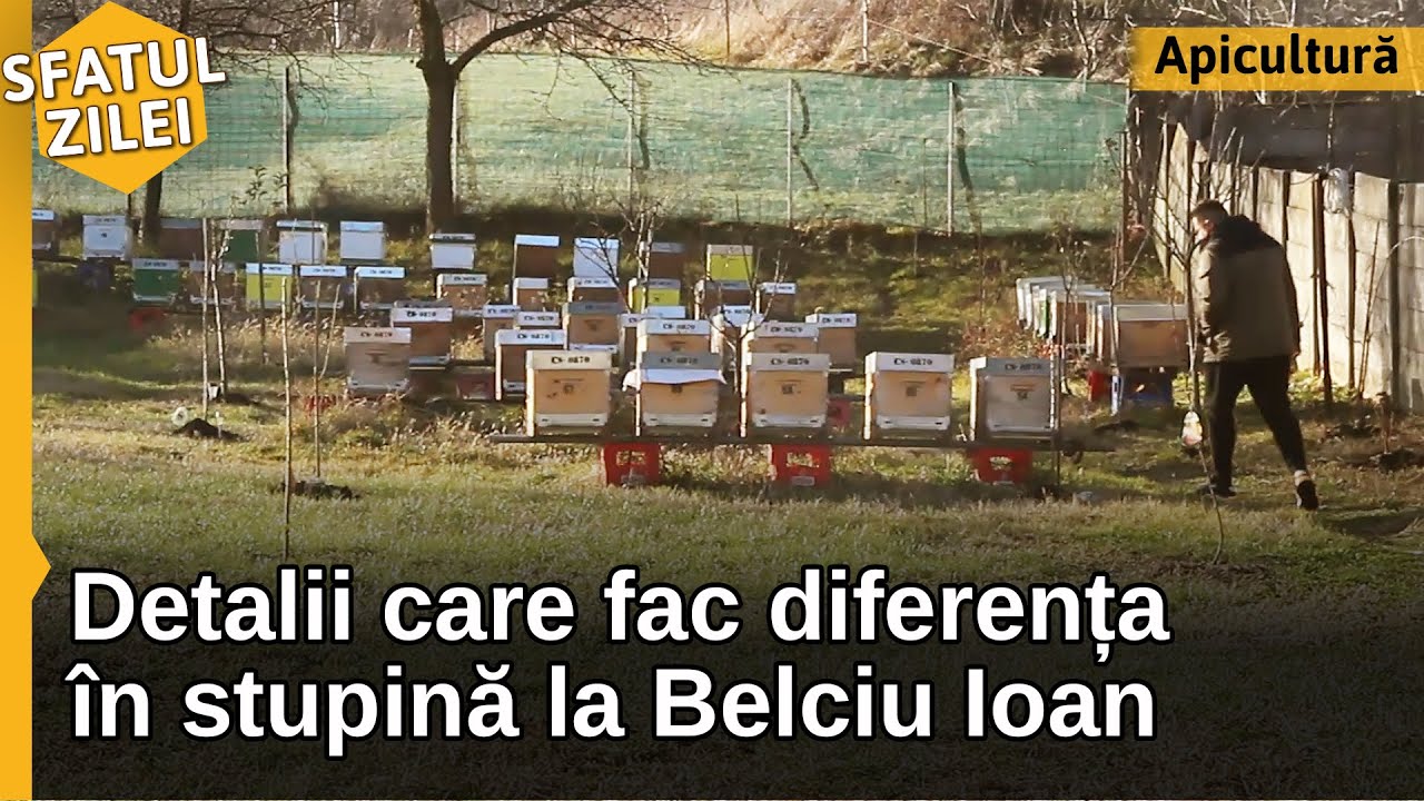 DETALII CARE FAC DIFERENȚA în stupina la Belciu Ioan - Sfatul Zilei
