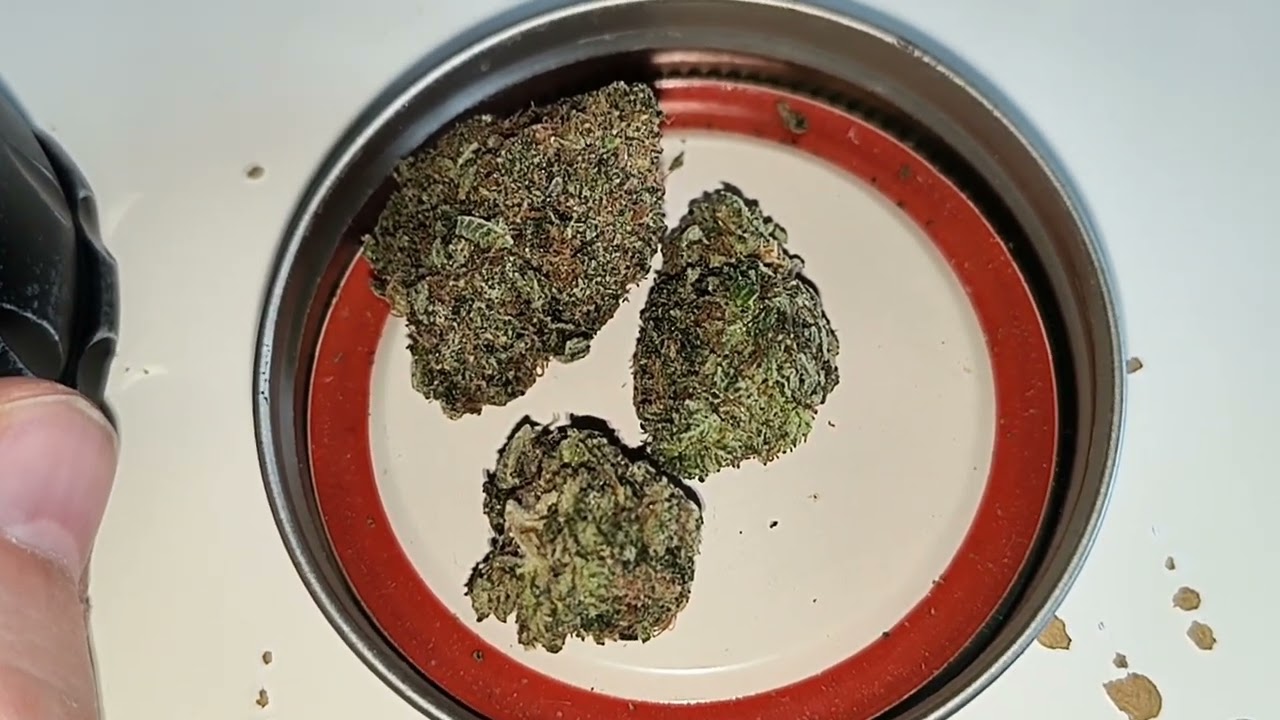STRAIN REVIEW 244: death bubba - Elephantgarden