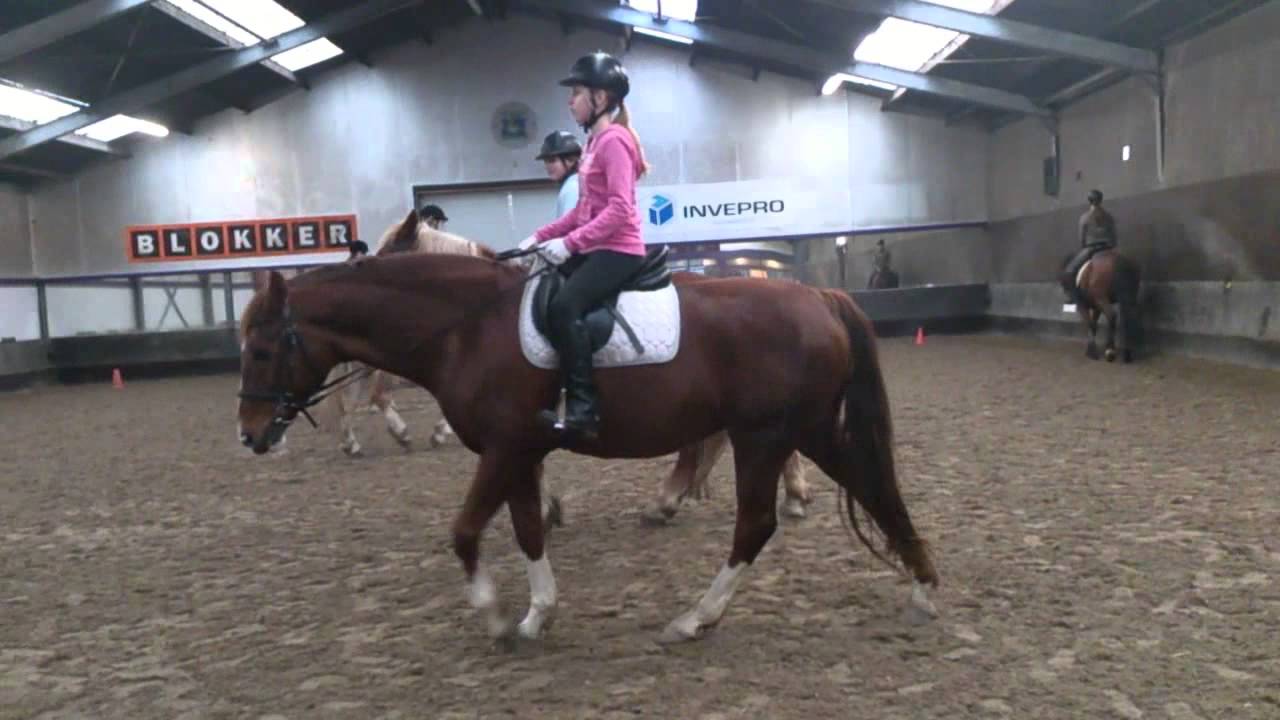 Redjeki in Bussum op manege Gooi en Eenland