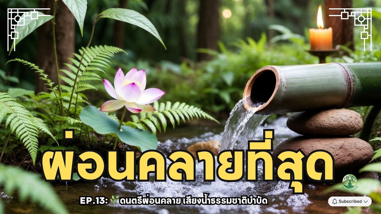 🌿EP.13  : Nature Piano Therapy 🌿ผ่อนคลายที่สุด  เสียงน้ำธรรมชาติบำบัด บำบัดสมอง