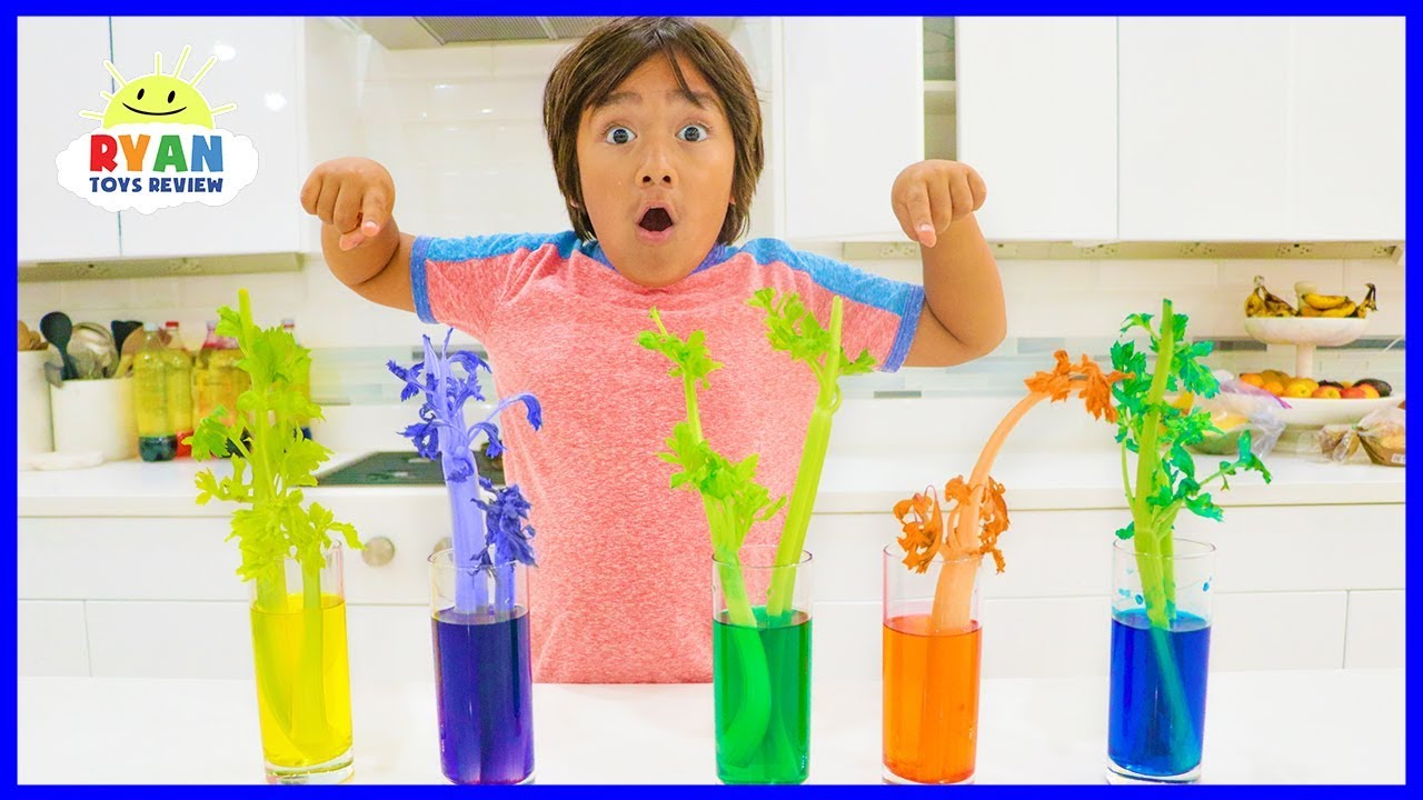 How to make Color Changing Celery!!! Science Experiments for kids