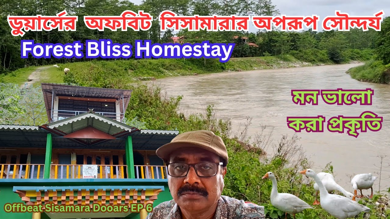Offbeat Dooars | Sisamara | Forest Bliss Homestay ৷ Sisamara River | অফবিট ডুয়ার্স  ৷ সিসামারা  নদী