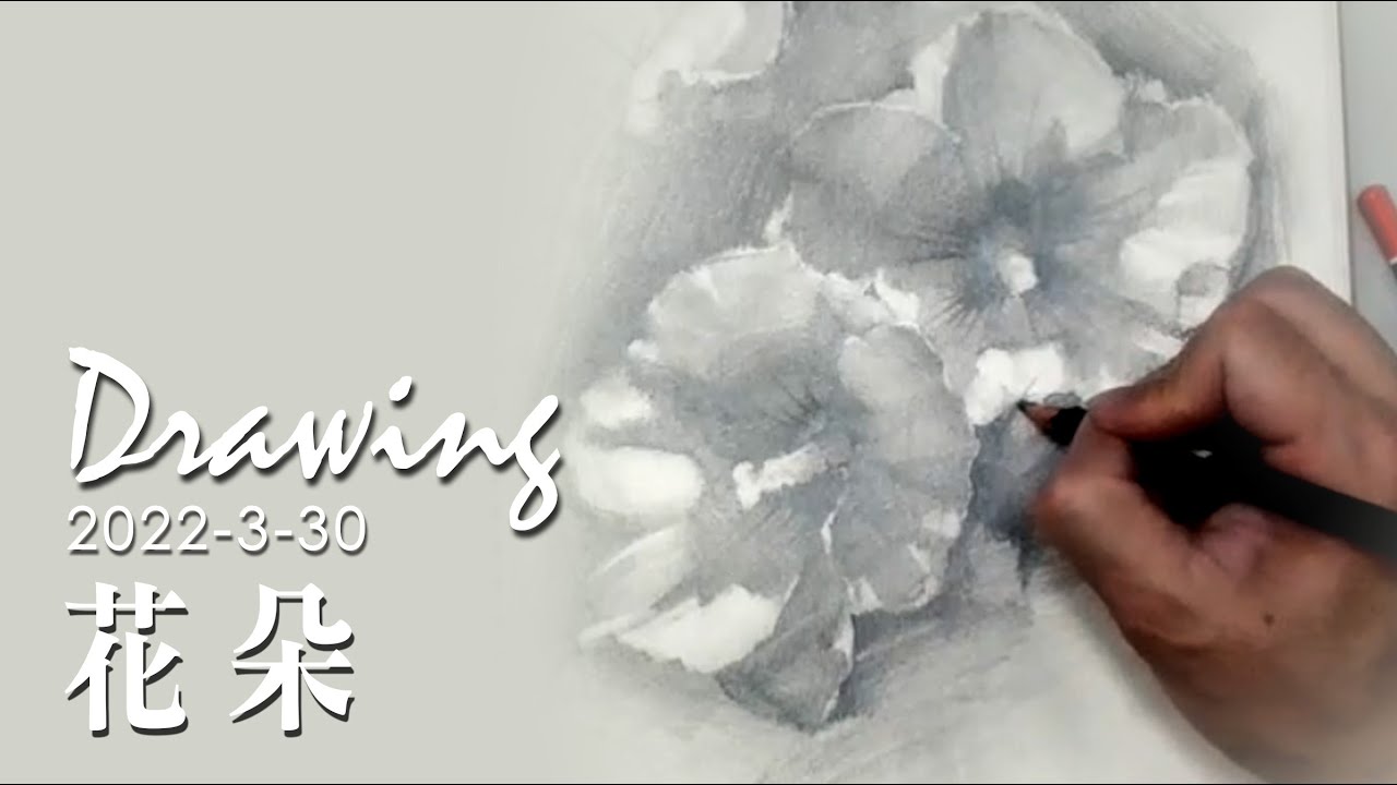 鉛筆素描示範 《花朵》- 王文詵