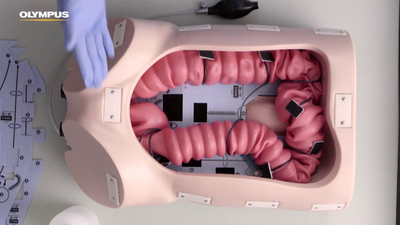 How to set up CM-15 colon phantom