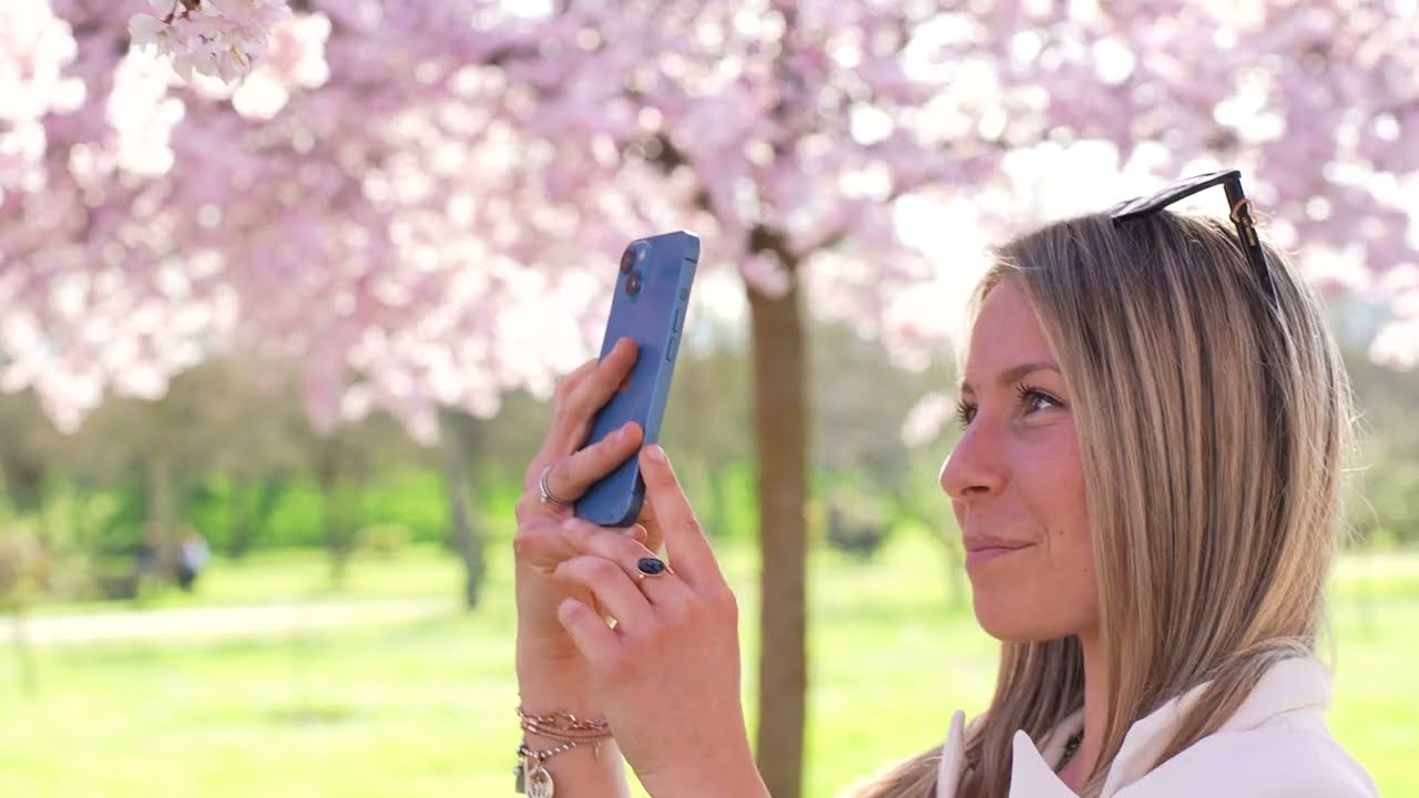 All'ombra dei ciliegi in fiore 2025