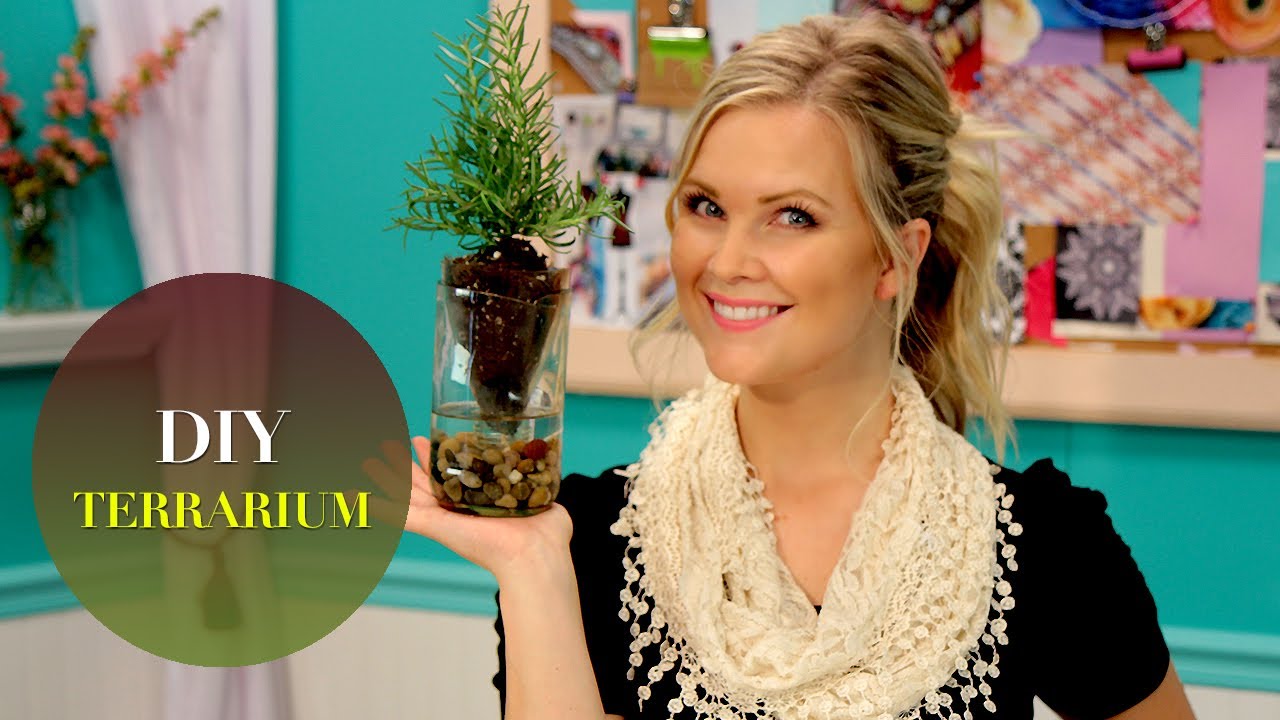 Pottery Barn Terrarium: The DIY Challenge on The Mom's View