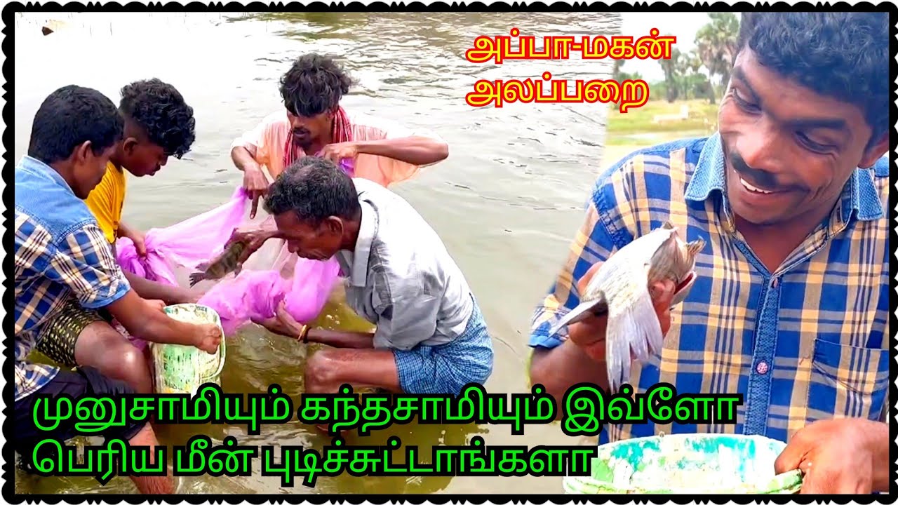 முனுசாமிக்கு மட்டும் ஸ்பெஷல் மீன் அப்பா மகன் அலப்பறை | Pana Matta