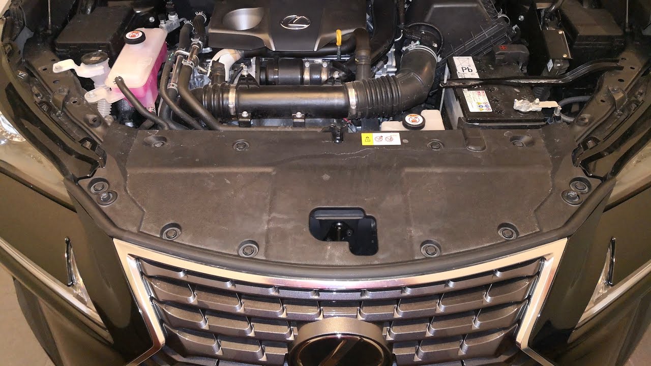 Wymiana oleju automatyczna skrzynia biegów Lexus NX300 / 200t. Transmission fluid replacement U661
