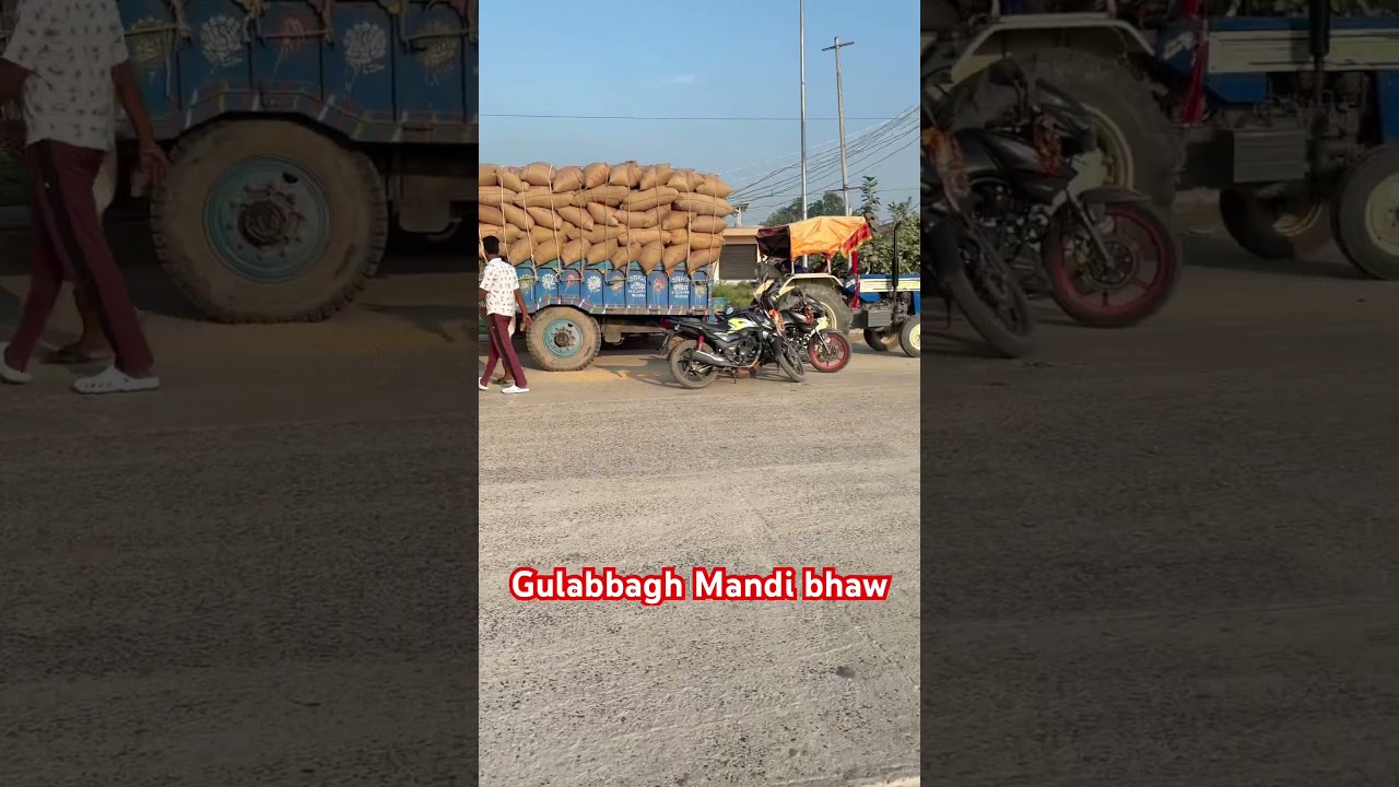 Gulabbagh Mandi bhaw🌽🌽 #mandi #mandibhav #mandinews #mandibhavtoday #maize #shorts #new #navratri