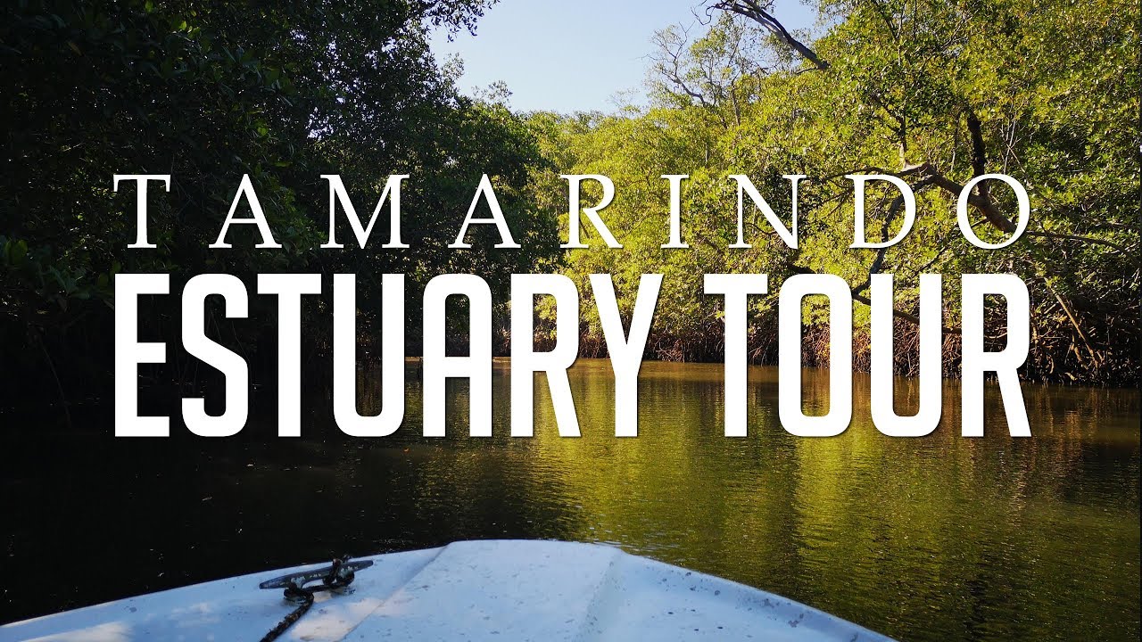 Tamarindo: Estuary Tour | Boat Tour | Crocodiles | Wildlife | Monkeys | Costa Rica