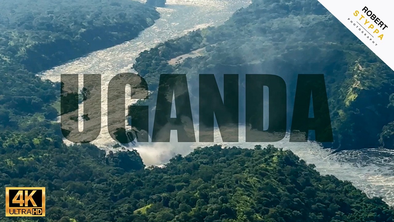 UGANDA: Flying Safari (7 Days) &ndash; Gorilla Trekking, Tree-Climbing Lions & Murchison Falls ✈️🇺🇬