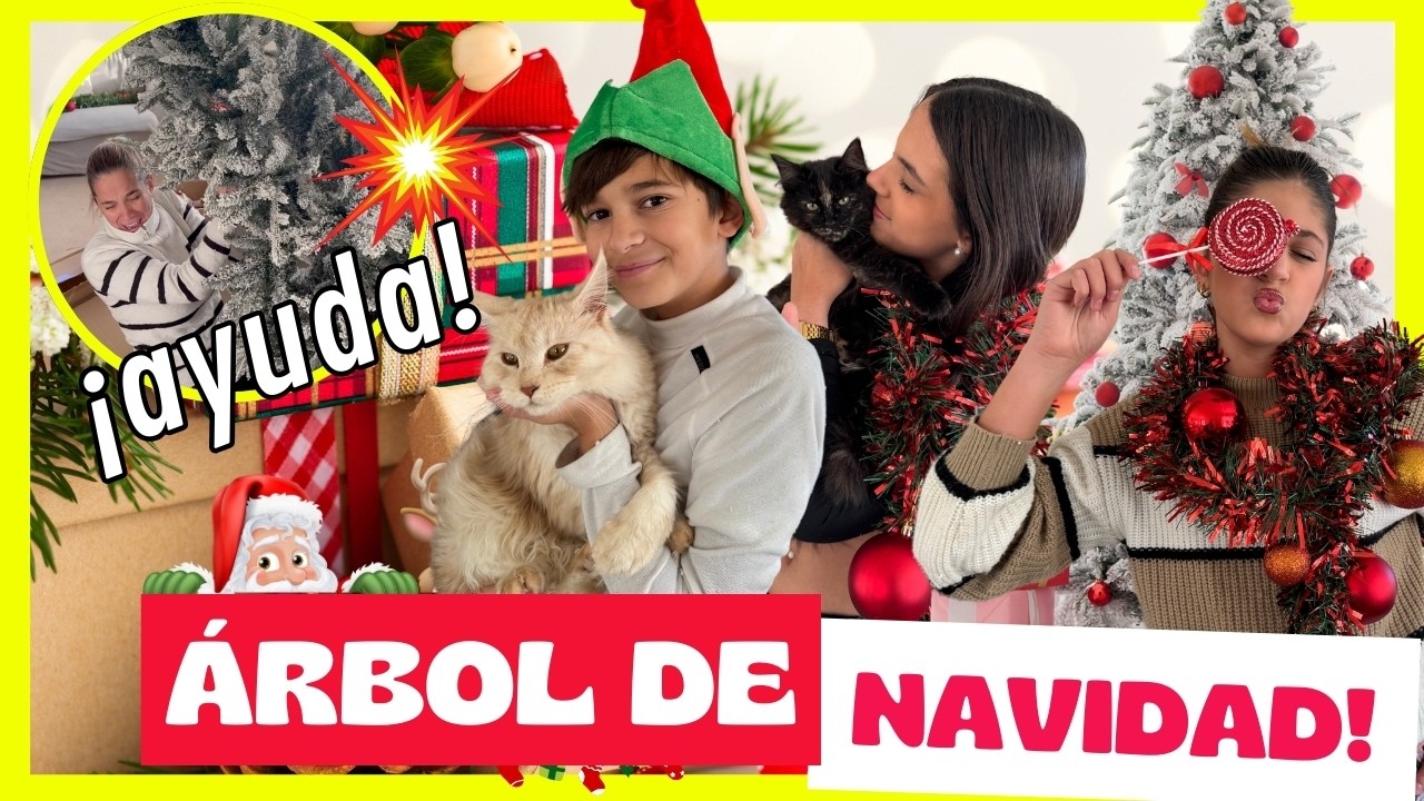 🇳🇴🎅🏻 Rutina de Navidad en Familia Montamos y Decoramos el Árbol de Navidad en Noruega 🎄✨