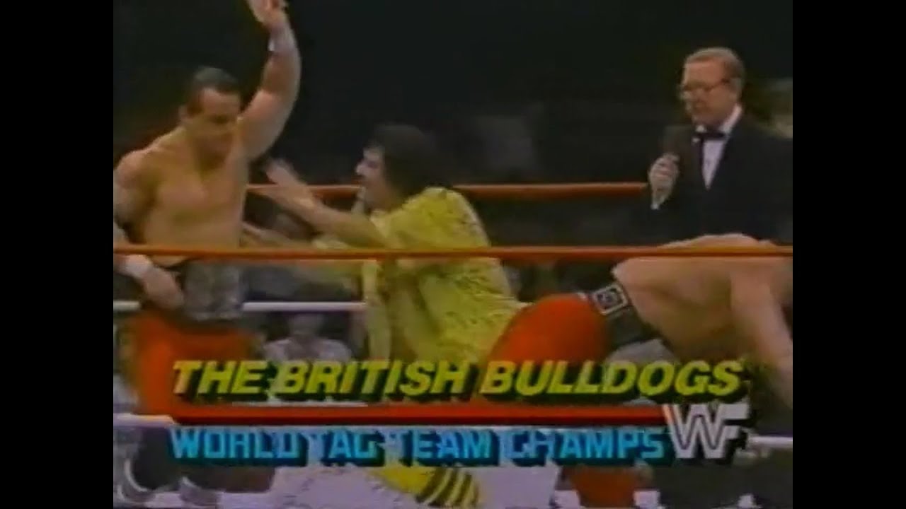 British Bulldogs vs Moondog Rex & Paul Christy   All Star Wrestling June 8th, 1986