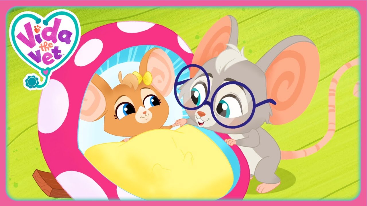 Sunny And Baby Mouse Go To Bed (Compilation) | Vida the Vet | Cartoons for Kids