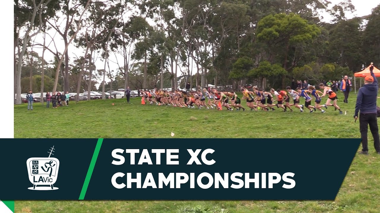 2017 State Cross Country Championships - Highlights // LAVicTV