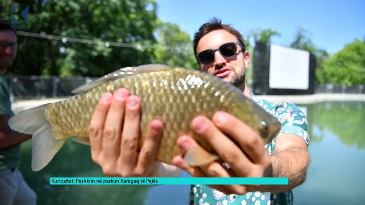 Peshkim në parkun Karagaq të Pejës